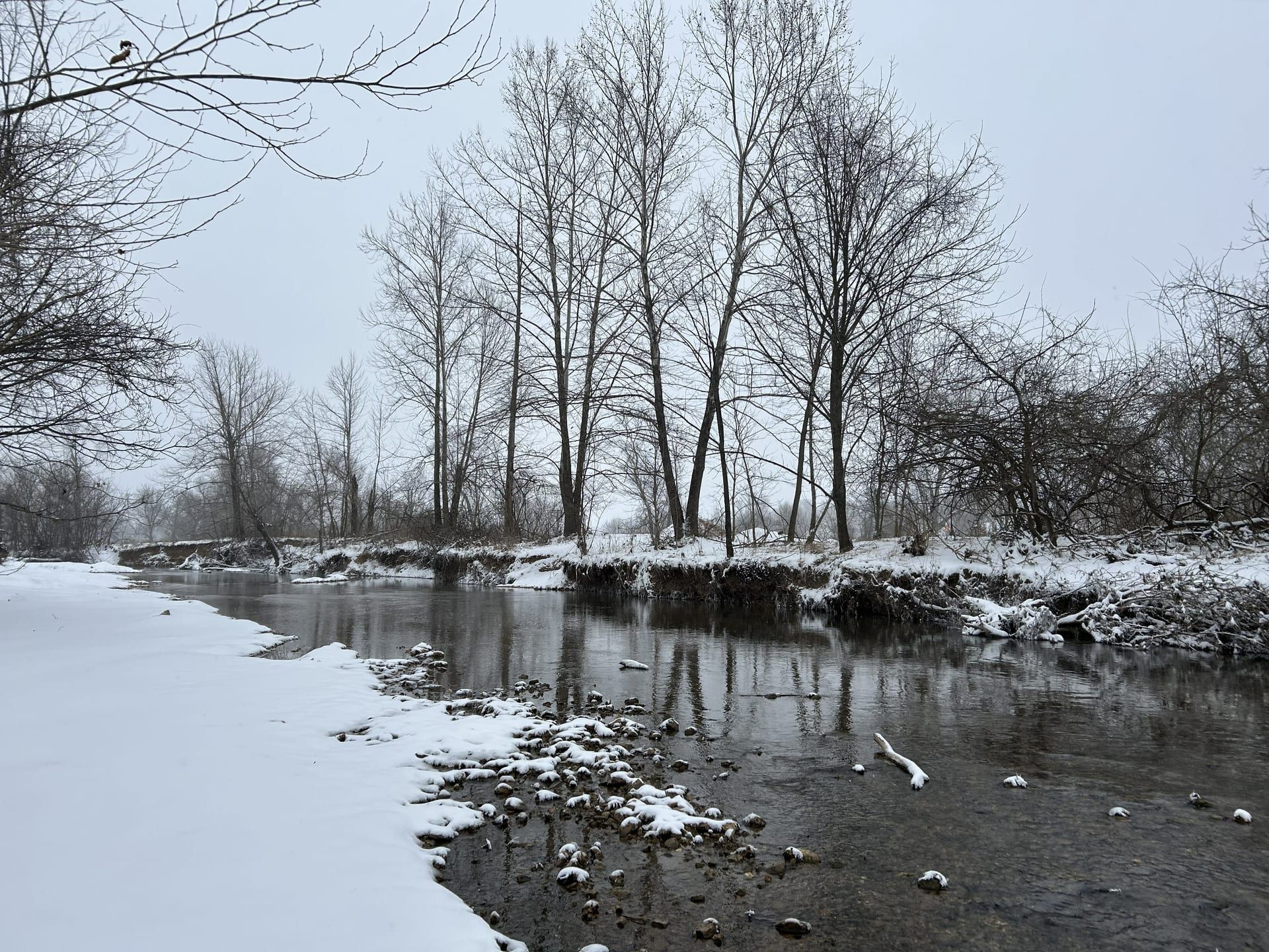 Little Osage Creek in winter woodland with snow on the banks